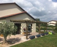 pergola bois kit foret